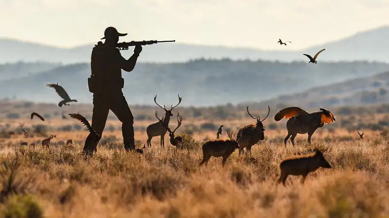 Caza estratégica en la naturaleza salvaje